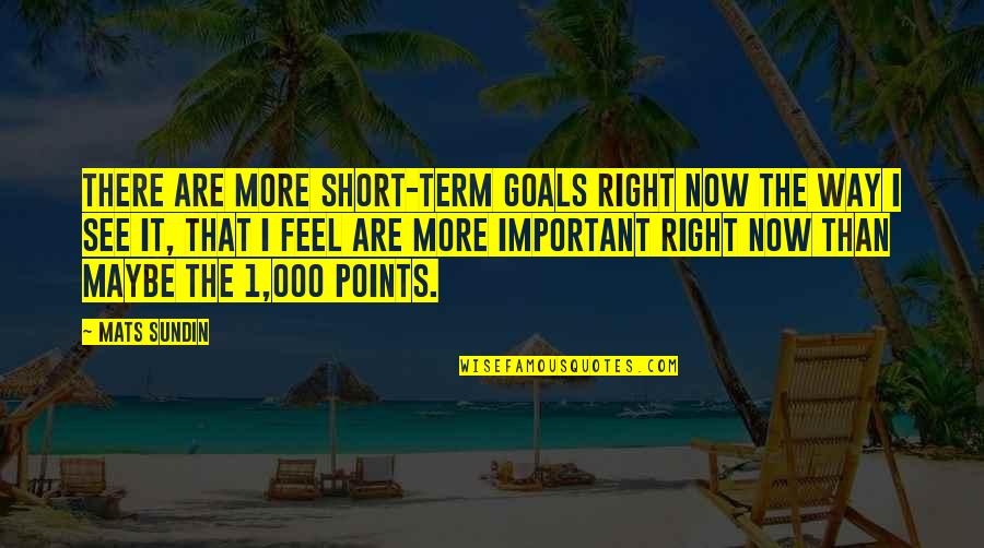 Short Term Quotes By Mats Sundin: There are more short-term goals right now the