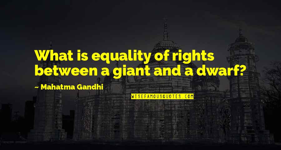 Shortness Of Life And Death Quotes By Mahatma Gandhi: What is equality of rights between a giant