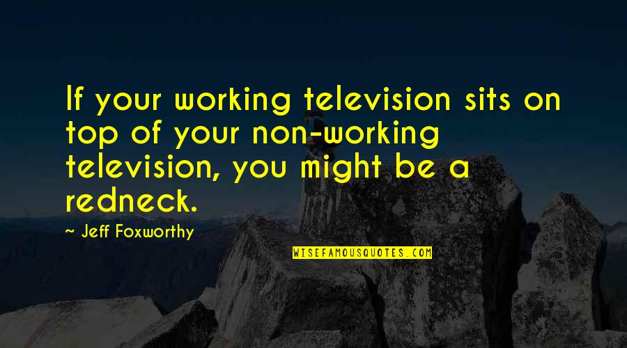 Shoshannah Stern Quotes By Jeff Foxworthy: If your working television sits on top of Shoshannah Stern Quotes By Jeff Foxworthy: If your working television sits on top of