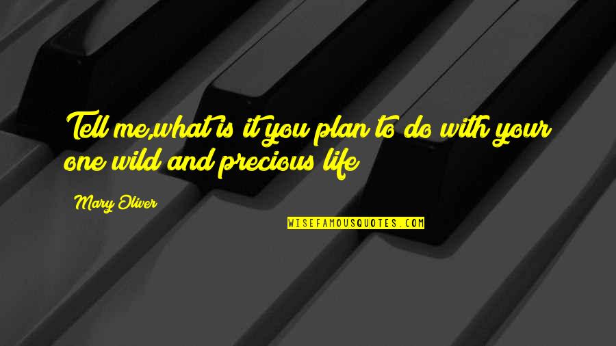 Shostakovich String Quartet 8 Quotes By Mary Oliver: Tell me,what is it you plan to do