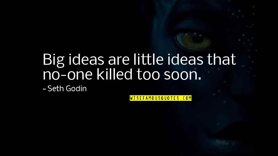 Should Have Would Have Could Have Quotes By Seth Godin: Big ideas are little ideas that no-one killed