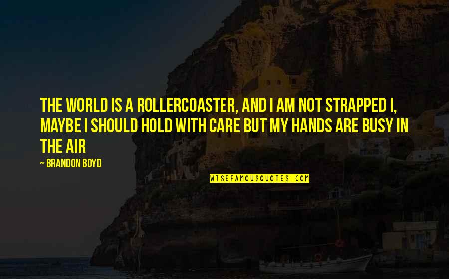 Should I Care Quotes By Brandon Boyd: The world is a rollercoaster, and i am