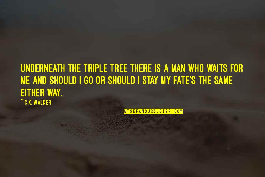 Should I Stay Quotes By C.K. Walker: Underneath the Triple Tree there is a man