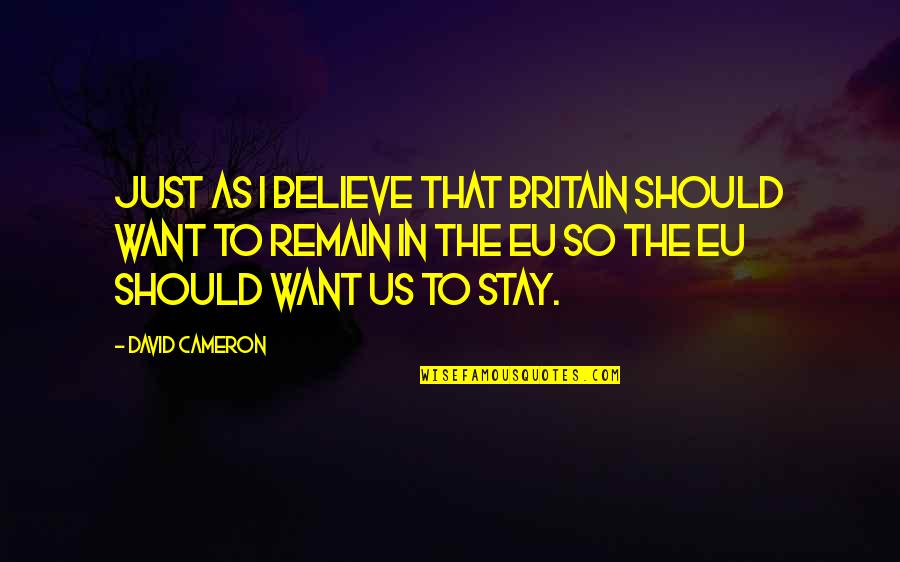 Should I Stay Quotes By David Cameron: Just as I believe that Britain should want