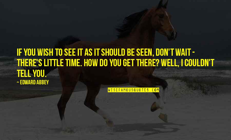 Should I Wait Quotes By Edward Abbey: If you wish to see it as it