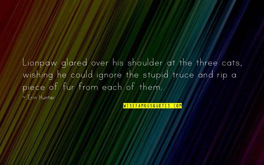 Shoulder Quotes By Erin Hunter: Lionpaw glared over his shoulder at the three