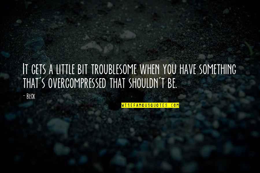 Shouldn Quotes By Beck: It gets a little bit troublesome when you