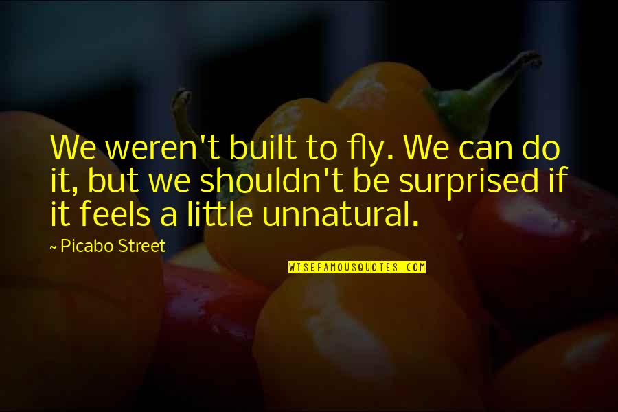 Shouldn't Be Surprised Quotes By Picabo Street: We weren't built to fly. We can do