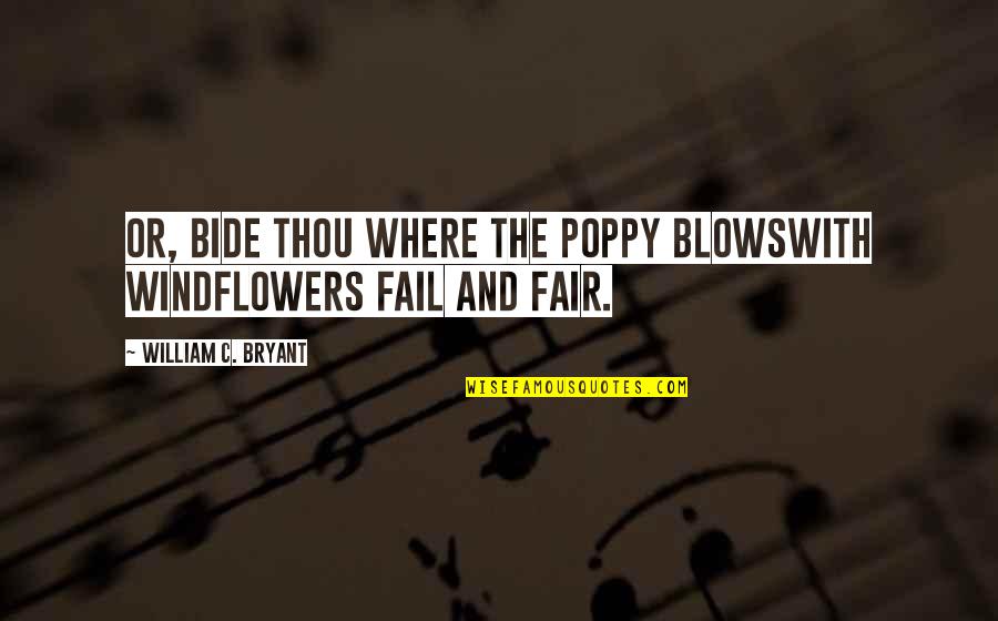 Shoushin03 Quotes By William C. Bryant: Or, bide thou where the poppy blowsWith windflowers Shoushin03 Quotes By William C. Bryant: Or, bide thou where the poppy blowsWith windflowers