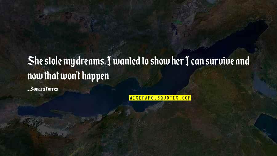 Show Her Love Quotes By Sondra Torres: She stole my dreams. I wanted to show