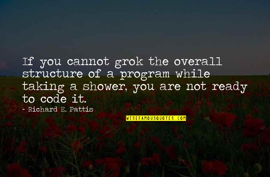 Shower If Quotes By Richard E. Pattis: If you cannot grok the overall structure of