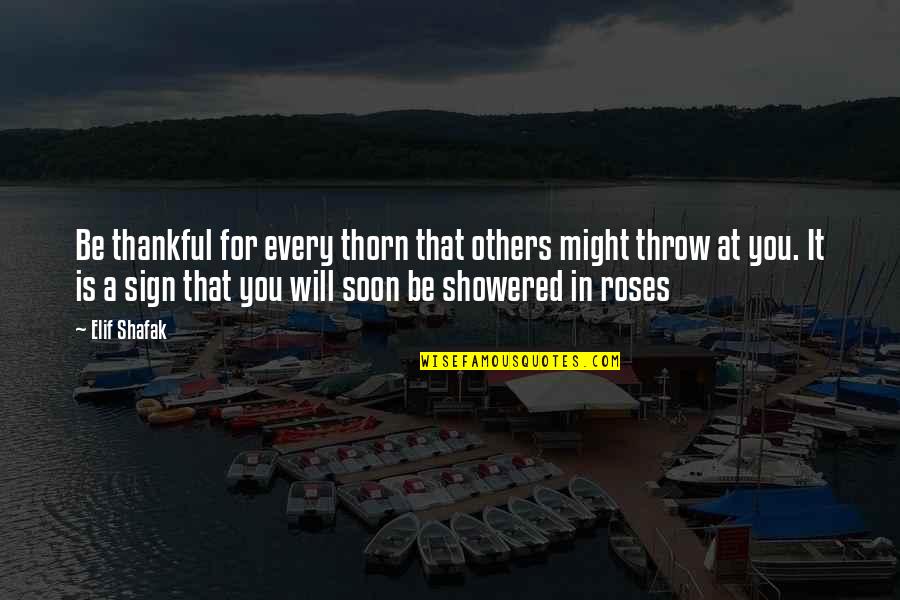 Showered Quotes By Elif Shafak: Be thankful for every thorn that others might Showered Quotes By Elif Shafak: Be thankful for every thorn that others might