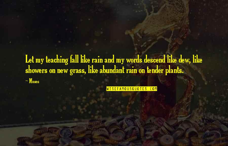 Showers Quotes By Moses: Let my teaching fall like rain and my