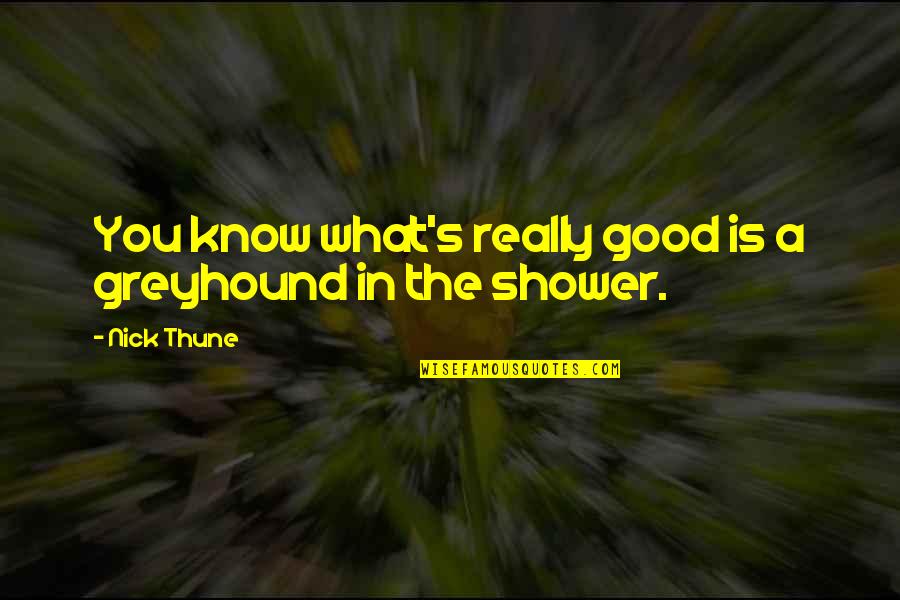 Showers Quotes By Nick Thune: You know what's really good is a greyhound
