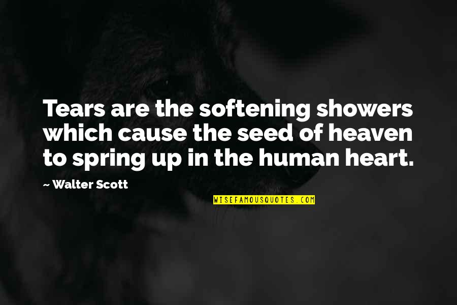 Showers Quotes By Walter Scott: Tears are the softening showers which cause the