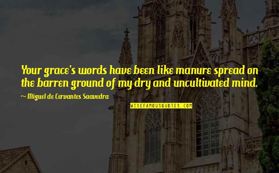 Showing No Feelings Quotes By Miguel De Cervantes Saavedra: Your grace's words have been like manure spread