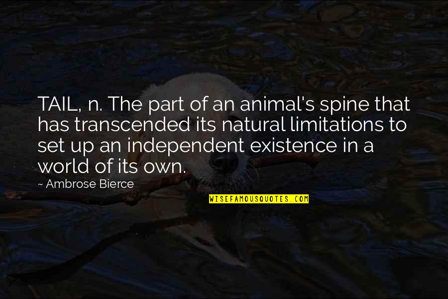 Showing True Love Quotes By Ambrose Bierce: TAIL, n. The part of an animal's spine