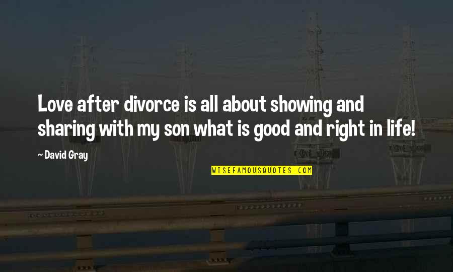 Showing You Love Quotes By David Gray: Love after divorce is all about showing and Showing You Love Quotes By David Gray: Love after divorce is all about showing and