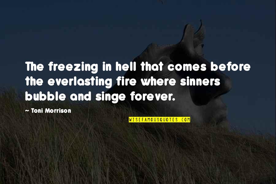 Shrek 2 Funny Quotes By Toni Morrison: The freezing in hell that comes before the