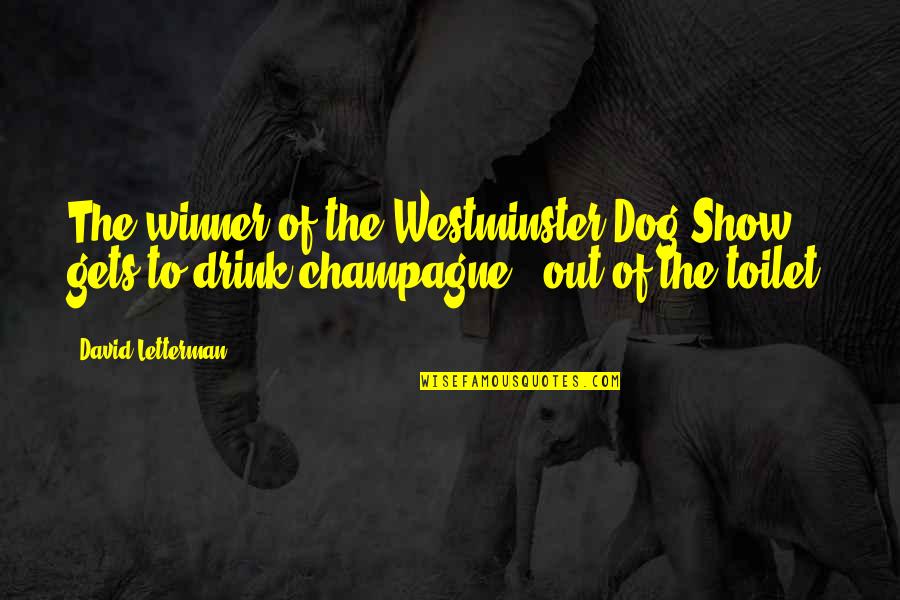 Shrew Soft Quotes By David Letterman: The winner of the Westminster Dog Show gets Shrew Soft Quotes By David Letterman: The winner of the Westminster Dog Show gets