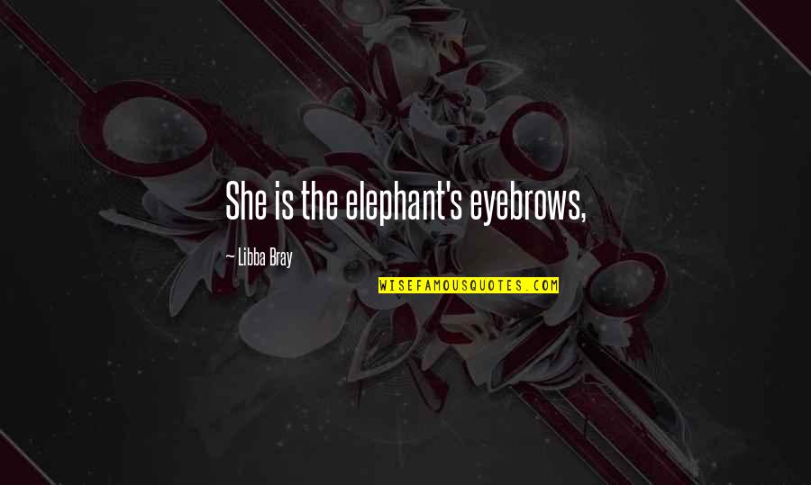 Shrieked Sentences Quotes By Libba Bray: She is the elephant's eyebrows, Shrieked Sentences Quotes By Libba Bray: She is the elephant's eyebrows,