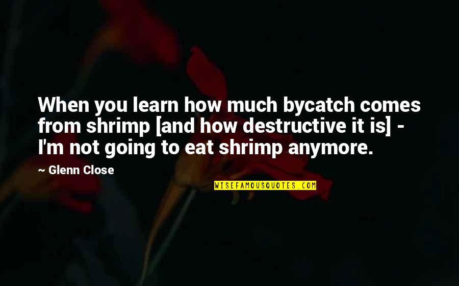 Shrimp And More Shrimp Quotes By Glenn Close: When you learn how much bycatch comes from