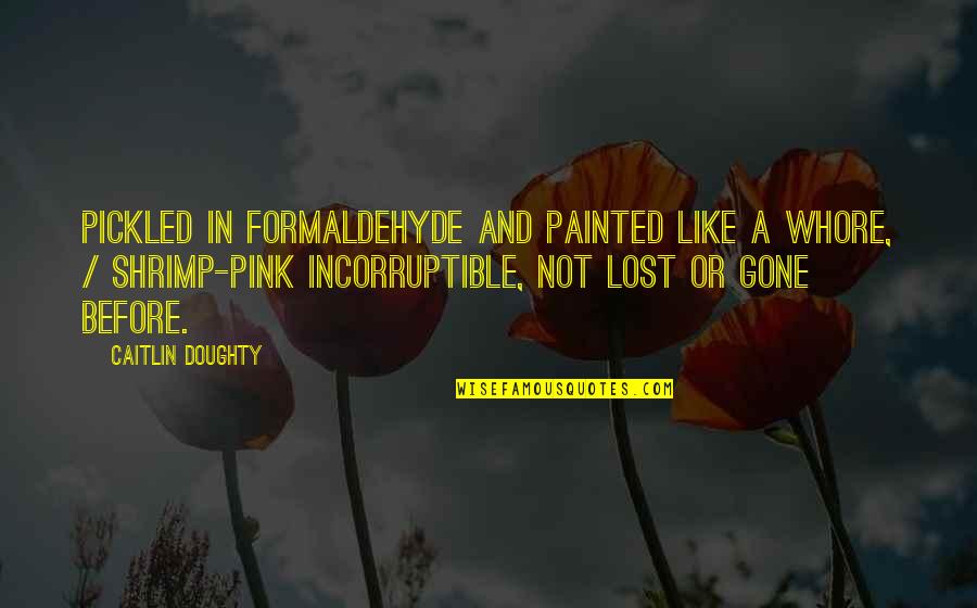 Shrimp Quotes By Caitlin Doughty: pickled in formaldehyde and painted like a whore, Shrimp Quotes By Caitlin Doughty: pickled in formaldehyde and painted like a whore,