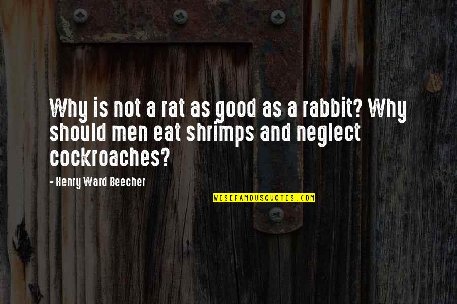 Shrimp Quotes By Henry Ward Beecher: Why is not a rat as good as