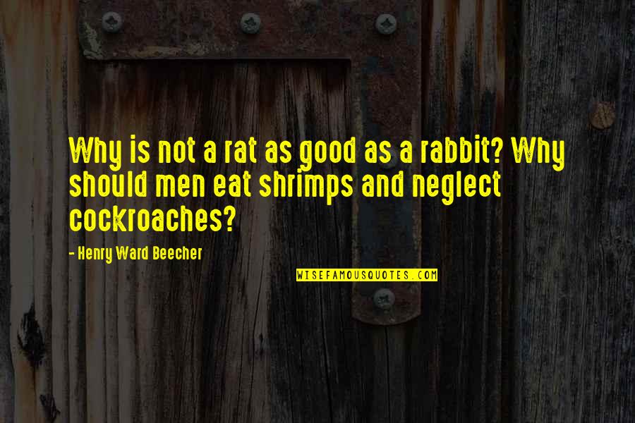 Shrimp's Quotes By Henry Ward Beecher: Why is not a rat as good as