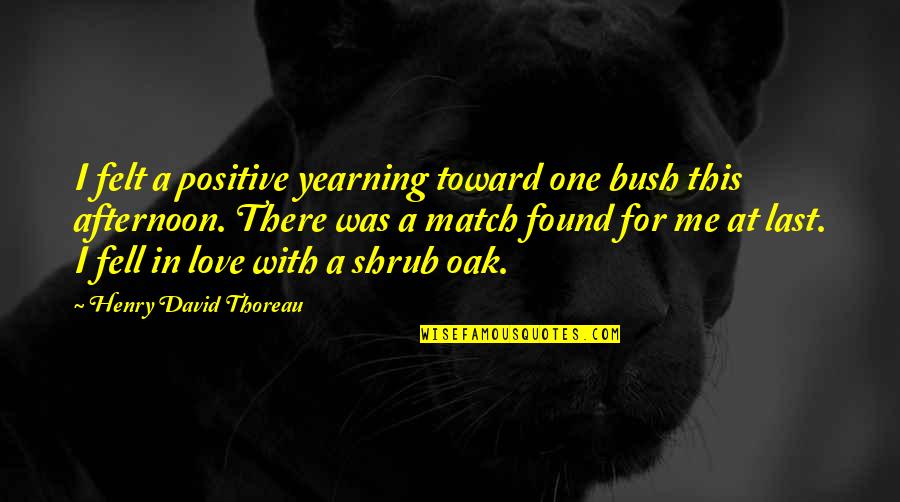 Shrubs Quotes By Henry David Thoreau: I felt a positive yearning toward one bush Shrubs Quotes By Henry David Thoreau: I felt a positive yearning toward one bush