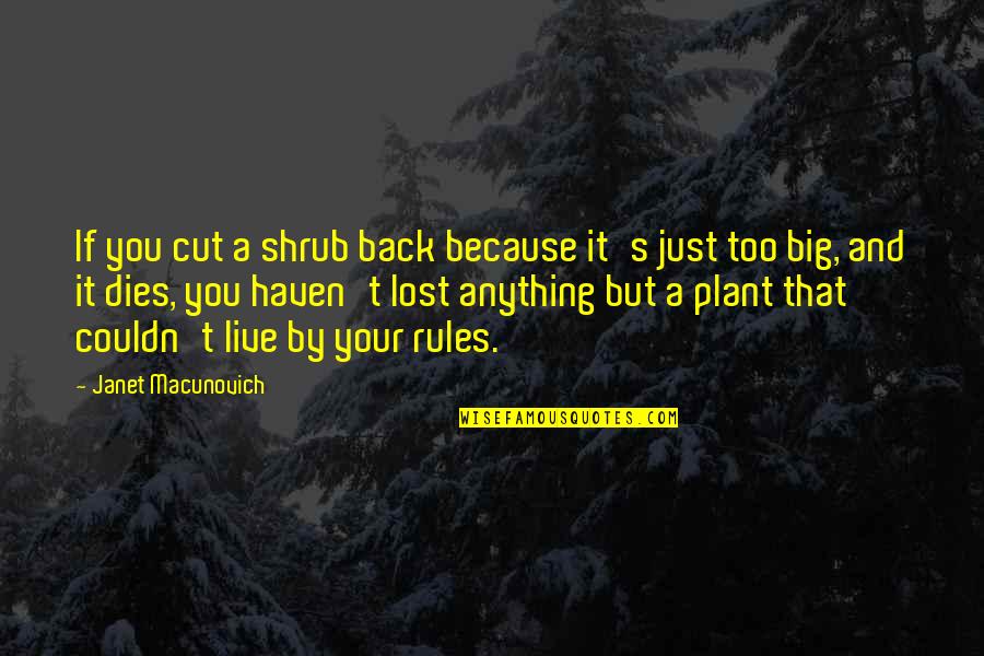 Shrubs Quotes By Janet Macunovich: If you cut a shrub back because it's Shrubs Quotes By Janet Macunovich: If you cut a shrub back because it's