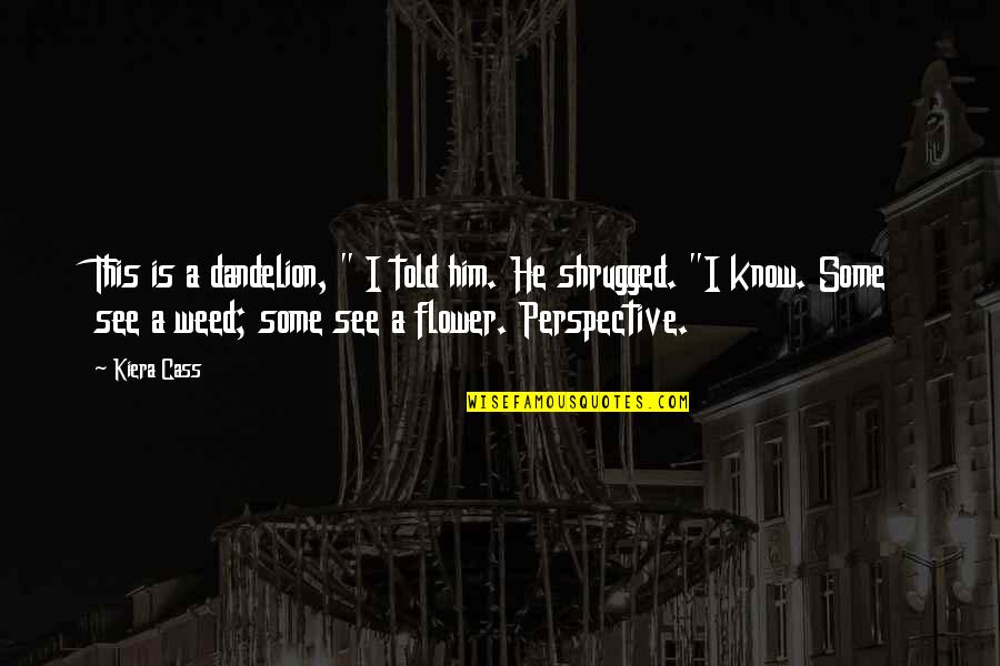 Shrugged Quotes By Kiera Cass: This is a dandelion, " I told him.