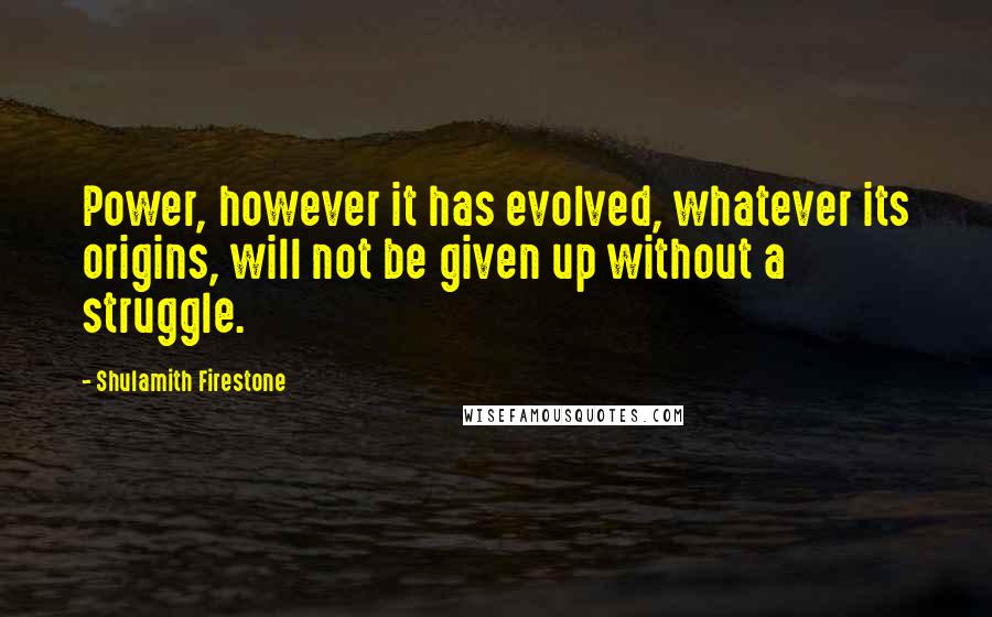 Shulamith Firestone quotes: Power, however it has evolved, whatever its origins, will not be given up without a struggle.