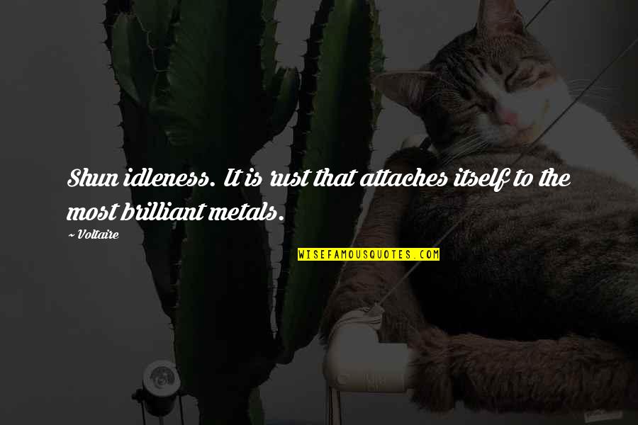 Shun Quotes By Voltaire: Shun idleness. It is rust that attaches itself