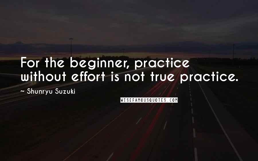 Shunryu Suzuki quotes: For the beginner, practice without effort is not true practice.