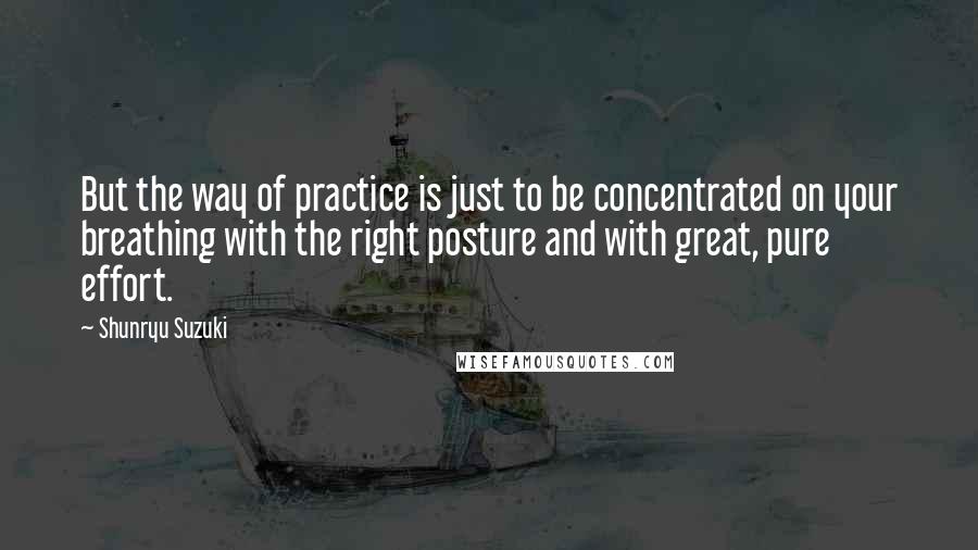 Shunryu Suzuki quotes: But the way of practice is just to be concentrated on your breathing with the right posture and with great, pure effort.
