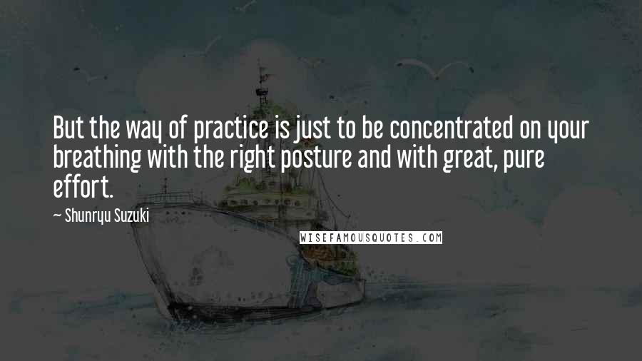 Shunryu Suzuki quotes: But the way of practice is just to be concentrated on your breathing with the right posture and with great, pure effort. Shunryu Suzuki quotes: But the way of practice is just to be concentrated on your breathing with the right posture and with great, pure effort.