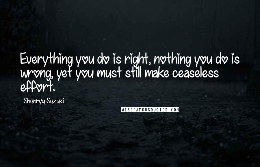 Shunryu Suzuki quotes: Everything you do is right, nothing you do is wrong, yet you must still make ceaseless effort.