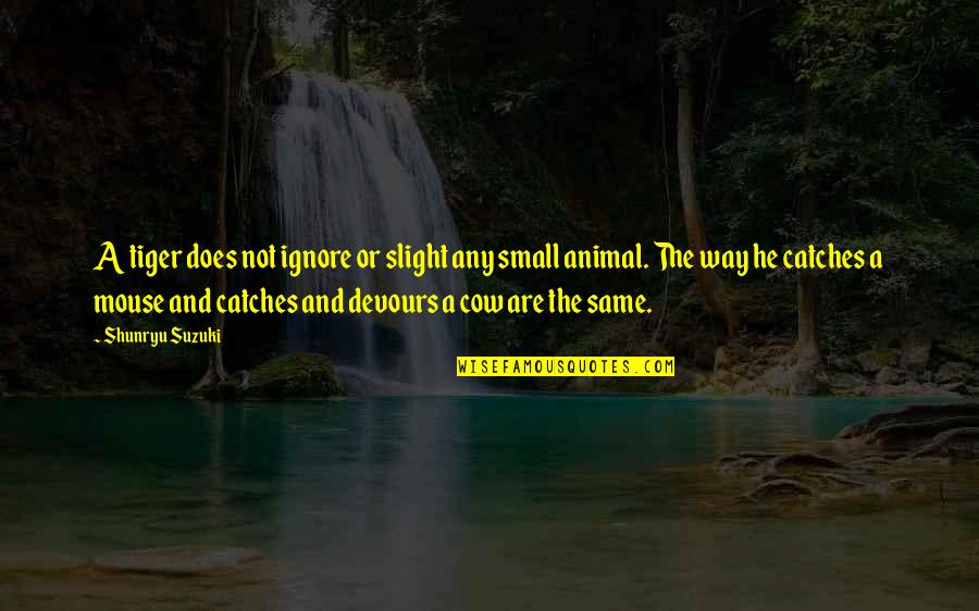 Shunryu Suzuki Quotes By Shunryu Suzuki: A tiger does not ignore or slight any Shunryu Suzuki Quotes By Shunryu Suzuki: A tiger does not ignore or slight any