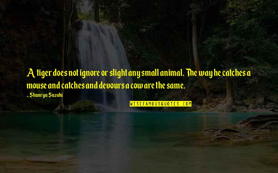 Shunryu Suzuki Quotes By Shunryu Suzuki: A tiger does not ignore or slight any