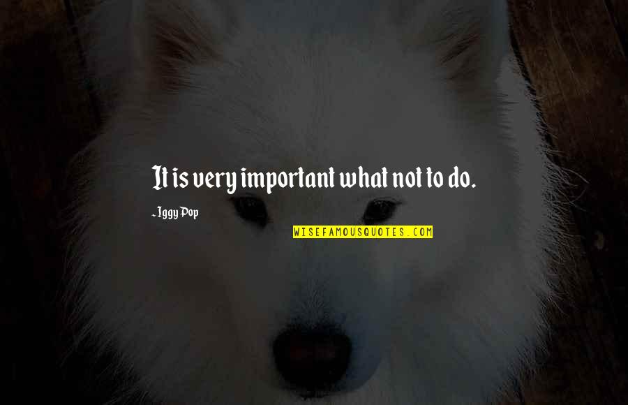 Shurdat Quotes By Iggy Pop: It is very important what not to do. Shurdat Quotes By Iggy Pop: It is very important what not to do.
