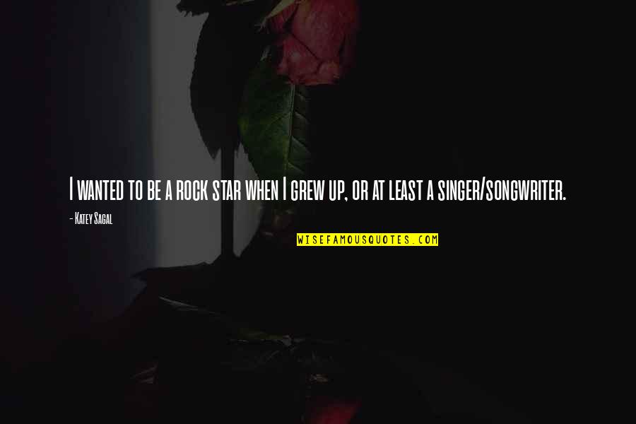 Shusterman Law Quotes By Katey Sagal: I wanted to be a rock star when
