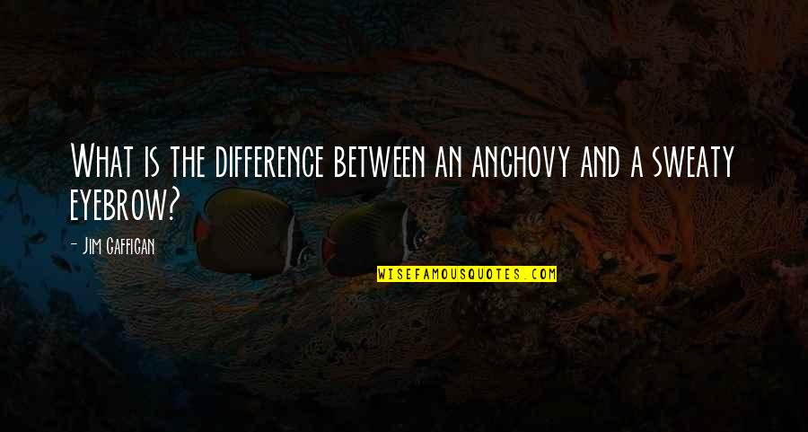 Shuteye Quotes By Jim Gaffigan: What is the difference between an anchovy and