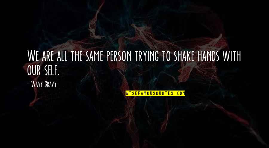 Shuyin Lin Quotes By Wavy Gravy: We are all the same person trying to