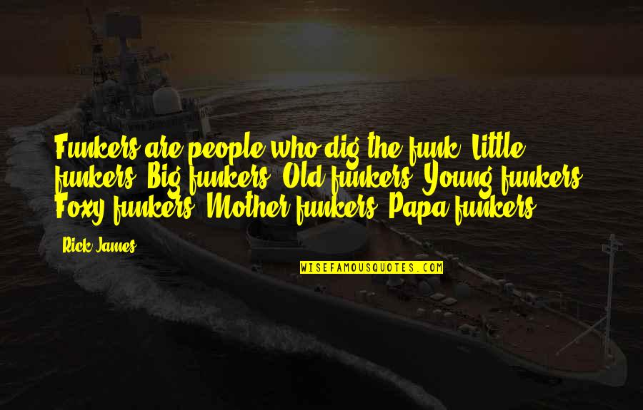 Shuyue Quotes By Rick James: Funkers are people who dig the funk; Little