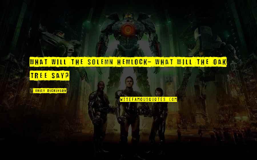 Shuzz Wong Quotes By Emily Dickinson: What will the solemn Hemlock- What will the Shuzz Wong Quotes By Emily Dickinson: What will the solemn Hemlock- What will the