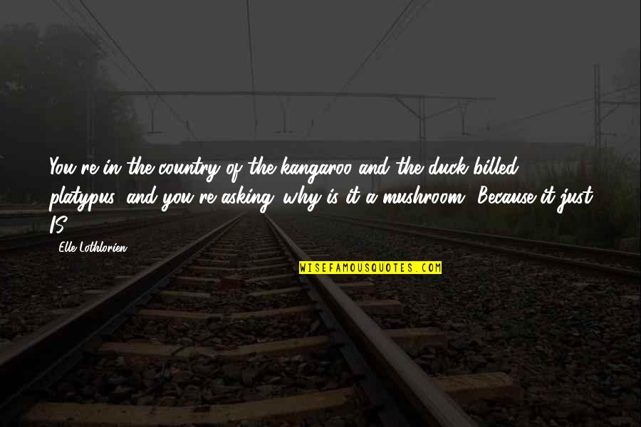 Shy Smile Quotes By Elle Lothlorien: You're in the country of the kangaroo and Shy Smile Quotes By Elle Lothlorien: You're in the country of the kangaroo and