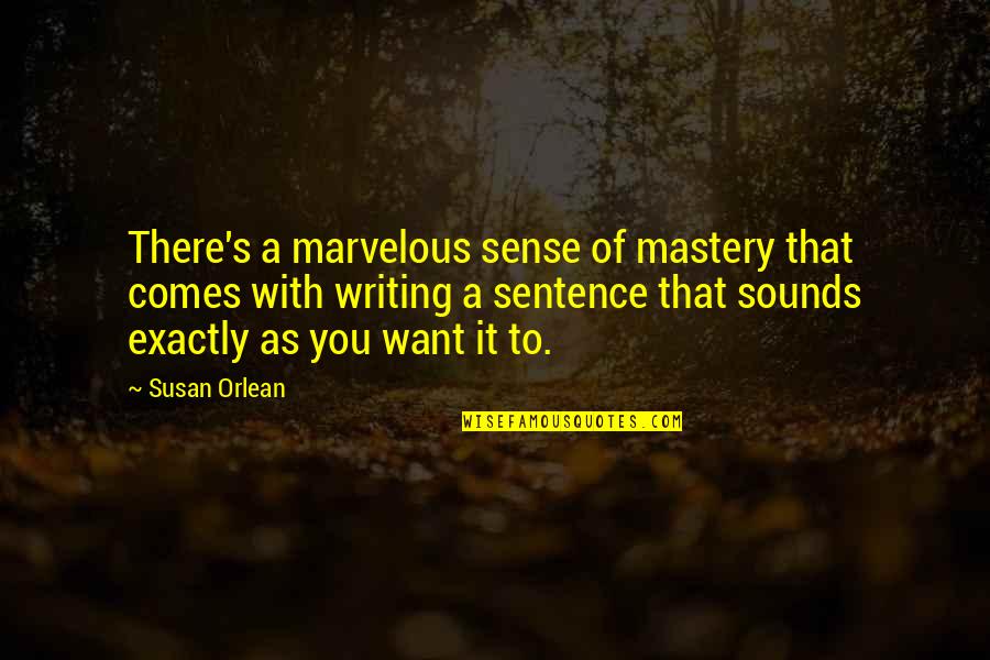 Sibelius Quotes By Susan Orlean: There's a marvelous sense of mastery that comes