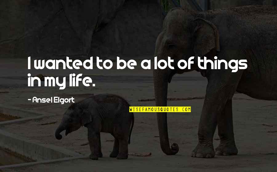 Siboney Lyrics Quotes By Ansel Elgort: I wanted to be a lot of things