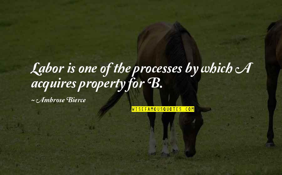Siboniso Quotes By Ambrose Bierce: Labor is one of the processes by which